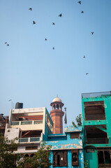 walled city of lahore, a minerate of badshahi mosque and old architecture houses, painted with fresh color 