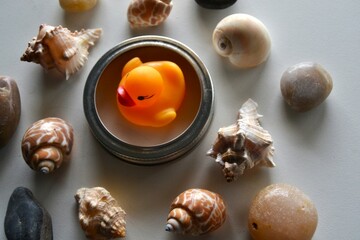 Rubber ducky