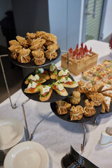 light snacks for the holiday, catering. Various light snacks. Catering plate. Assortment of sandwiches on the buffet table. meat, fish, vegetable canapes.