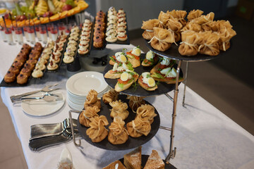 light snacks for the holiday, catering. Various light snacks. Catering plate. Assortment of sandwiches on the buffet table. meat, fish, vegetable canapes.