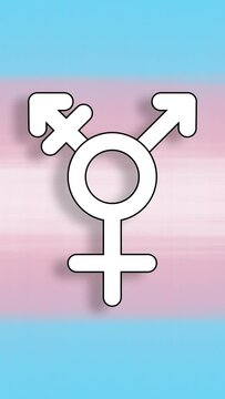 S&iacute;mbolo transg&eacute;nero en pantalla vertical versi&oacute;n 5