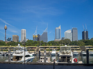Sydney CBD skyline seen from Potts Point marina