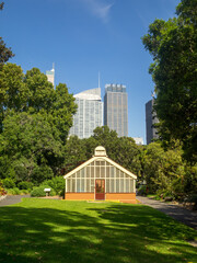 Sydney's Royal Botanic Gardens and the CBD skyscrapers