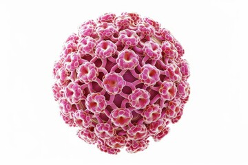 human papillomavirus hpv type 16 structure isolated on white 3d medical illustration