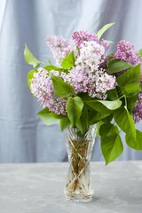 large bouquet of lilacs in crystal vase in interior of apartment. Beautiful lilac spring flowers. romantic gift is bouquet of fragrant lilacs. Selective Focus