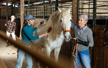 Experienced elderly female breeder holding white purebred horse by bridle while her adult daughter...