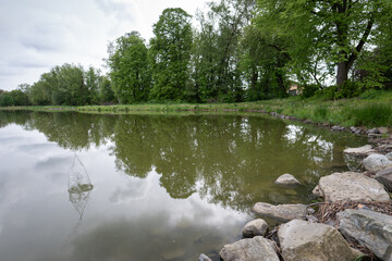 Splashed water at the pond after throwing a stone.