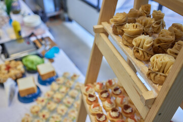 Fototapeta premium light snacks for the holiday, catering. Various light snacks. Catering plate. Assortment of sandwiches on the buffet table. meat, fish, vegetable canapes.