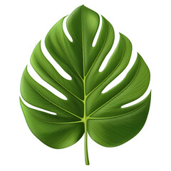 Lush Monstera Leaf Isolated on Black.
Vibrant green Monstera deliciosa leaf, detailed and realistic, isolated on a black background, perfect for interior design themes and botanical illustrations.

