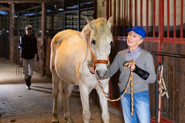 Smiling older woman rancher caressing white racehorse while leading by reins to stall after riding...