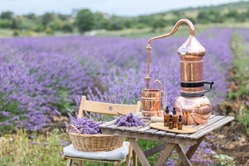 Distillation of lavender essential oil and hydrolate. Copper alambic for the flowering field.