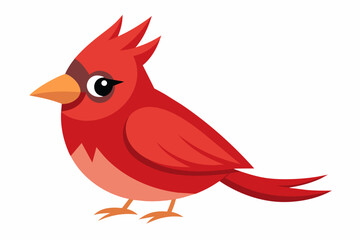 cardinal bird cartoon vector illustration