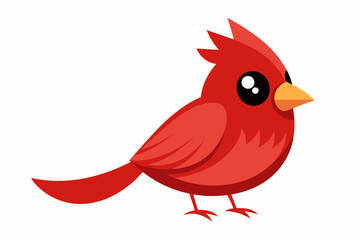  cardinal bird cartoon vector illustration