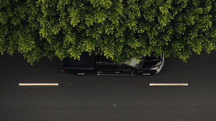 overhead view of truck and trees on road