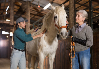 Two women caring for a white horse - brushing the sides