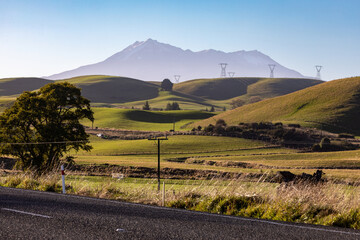 Farmland an a view of Mt Ruapehu in the distance, Taihape, Manawatū-Whanganui, New Zealand. - obrazy, fototapety, plakaty