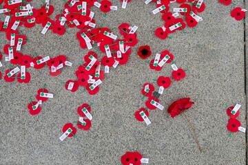 ANZAC Poppies beneath the memorial on the 20204 ANZAC Day celebrations. Auckland Museum, Auckland, Auckland, New Zealand.