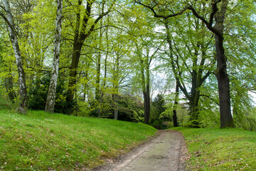 A serene park in northern Germany, where fresh buds adorn trees, daffodils dot the ground, and a gentle breeze carries the promise of warmer days.