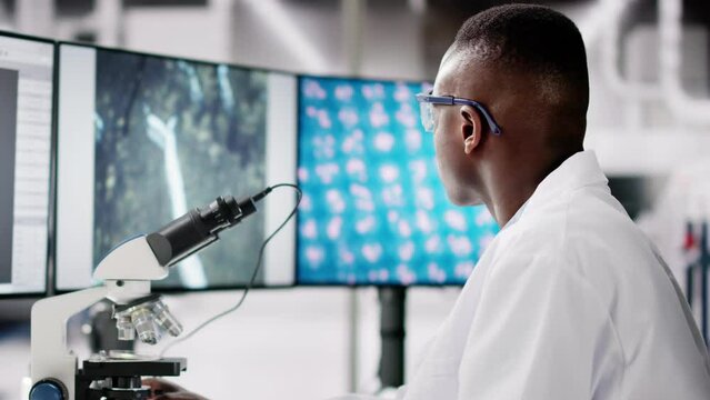 Research Lab Scientist Using Computer