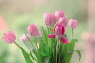 Naklejka premium Wiosna, różowe tulipany. Tapeta kwiaty. Tło kwiatowe