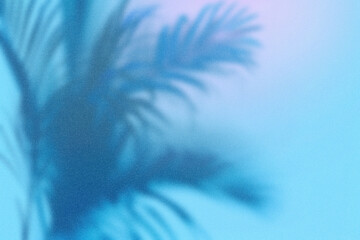 A light blue gradient background with the shadow of an abstract palm tree in a minimalistic style with negative space. © keisuke