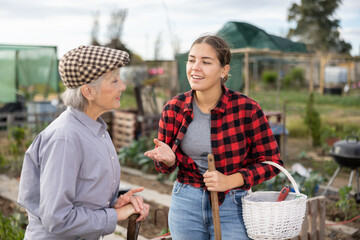 Two female gardeners talking near wooden fence in garden outdoor