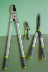 Garden tools group for topiary cutting of plants. Secateurs, loppers, and hedge trimmers set against a green background.Garden equipment and tools. Tools for pruning and trimming plants - 795850351