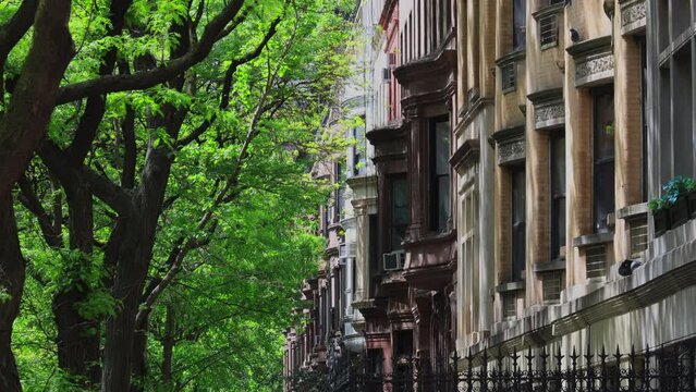 NEW YORK, NEW YORK, USA - MAY 8 2023: Rows of fresh green trees grow along row of Apartment buildings in Central Park West Historic District during spring season at Upper West Side Manhattan in New Yo