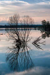 Flooded areas in Elbe-Havel-Land, Germany, reveal the aftermath of rivers bursting their banks,...