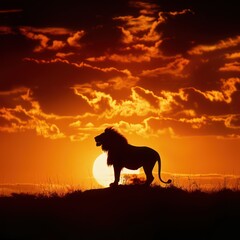 Silhouette of a roaring lion standing on a hill in the setting sun