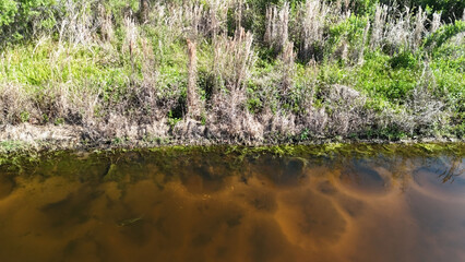 A drone views a fish nest laying eggs in the Tampa Bay, Florida lake.
