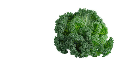 Realistic Kale on transparent background