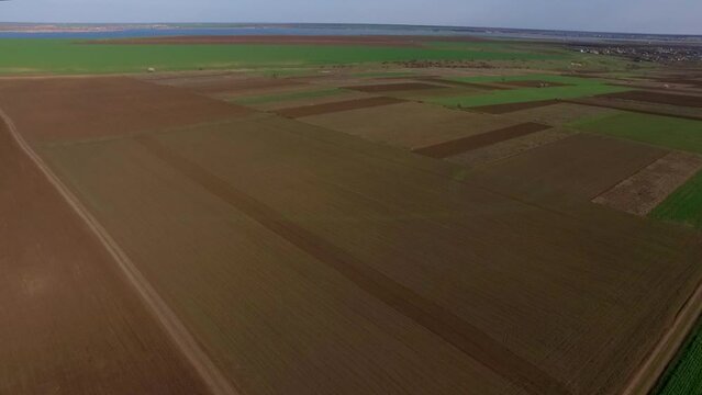 The drone makes a panorama over beautiful green and brown field at a bird's eye view. You can see the horizon line and the blue sky with white clouds.