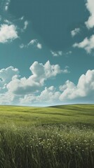 Obraz premium Field grass landscape outdoors.