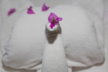 Creative cleaning of rooms in hotels in Egypt. The bed is decorated with objects made of towels.