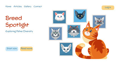 Modern vector concepts for website - feline breed diversity