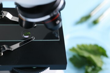 Food quality control. Glass slide with parsley under microscope on table, closeup