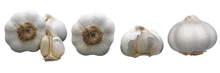 Many different position of white garlic clove and bulb isolated on transparent background. Best food ommercial stock photo, PNG file.