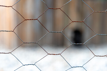 Chicken wire mesh detail