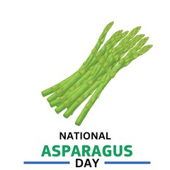 national asparagus day. banner or template of asparagus day.Vector illustration