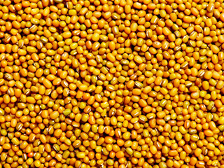 background of fresh raw organic yellow lentils.