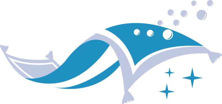 carpet wash logo design pressure wash