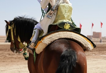 Traditional Moroccan Horseman - Tbourida Equestrian Elegance