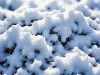 winter background with snow covered grass