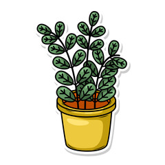Fototapeta premium Home plant cartoon style. potted plant isolated on white