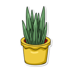 Home plant cartoon style. potted plant isolated on white