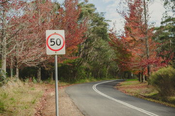 road speed sign and Autumn Leaves Background, mount wilson nsw Australia