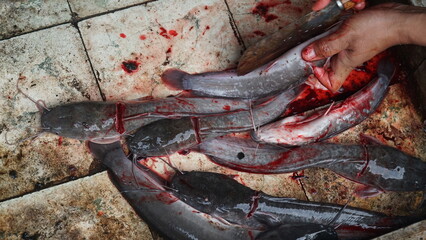 Several catfish on the tile are being sliced using a knife