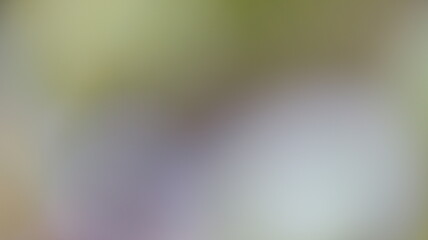 Blurred colored abstract background. Smooth transitions of iridescent colors
