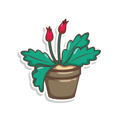Home plant cartoon style. potted plant isolated on white